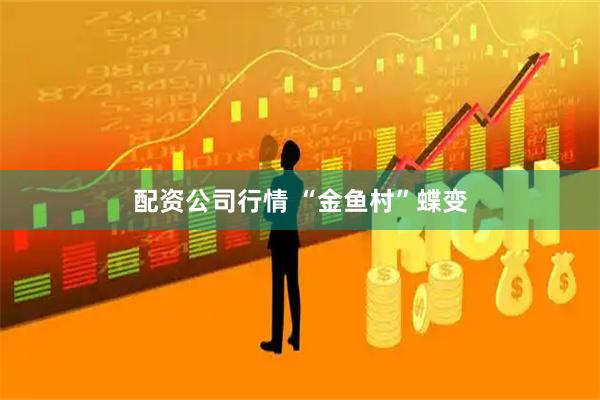 配资公司行情 “金鱼村”蝶变